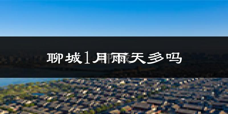 聊城1月雨天多吗?