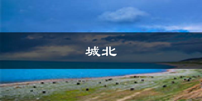 西宁城北天气预报未来一周