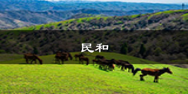 民和天气预报未来一周