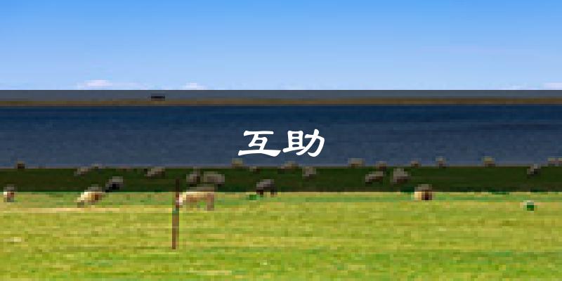互助天气预报未来一周