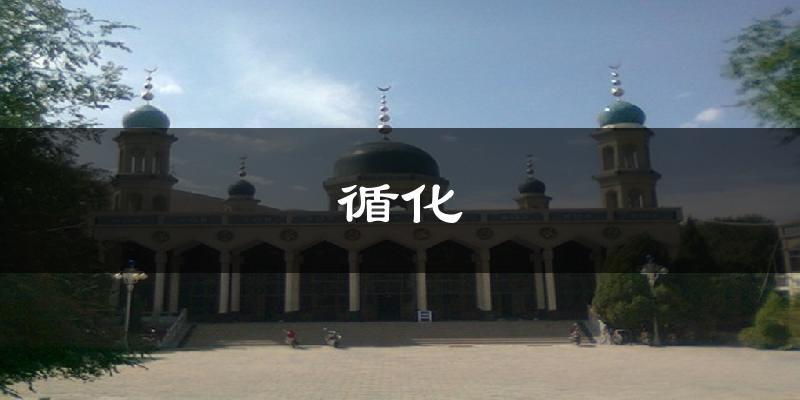 循化天气预报未来一周