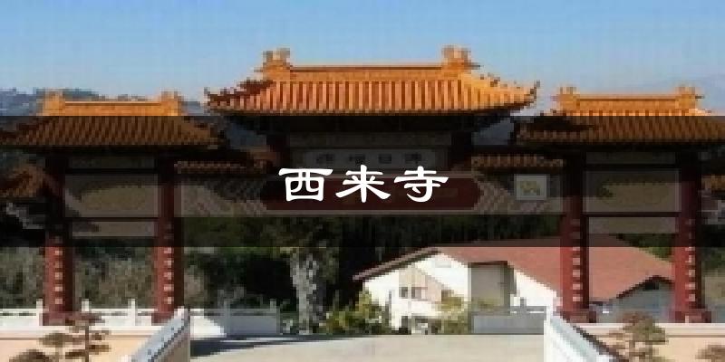 西来寺气温