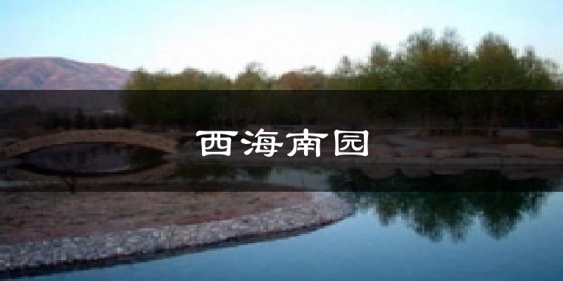 西海南园气温