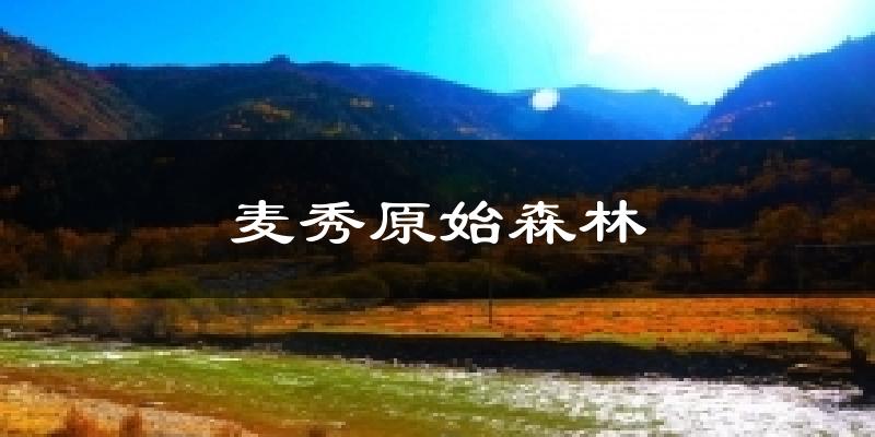黄南麦秀原始森林天气预报未来一周